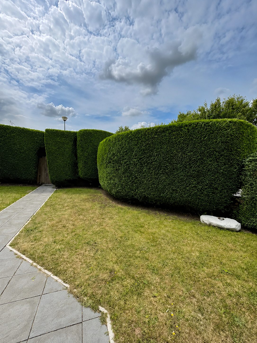 Hedge trimming in Kilmallock